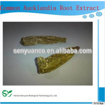 Melhor venda Common Aucklandia Root Extract